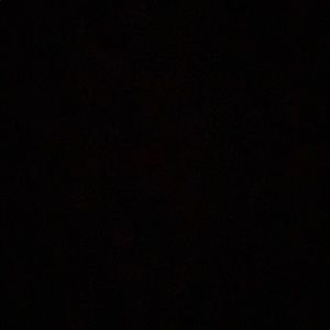 Meet your Posher, Chelsea